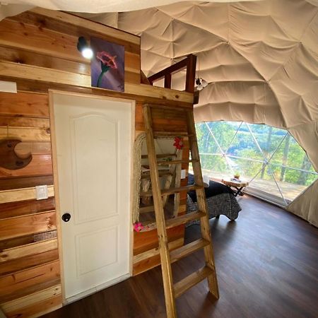 Glamping Pucoyan Futrono Bagian luar foto